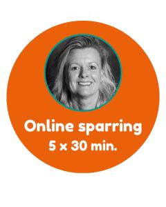 Online sparring med Tine Johansen – klippekort til 5 x 30 min.
