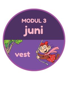 Modul 3 VEST ~ 16.-17. juni 2027 ~ Jylland